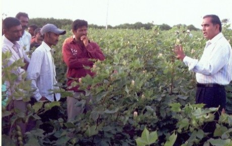 Farmers learning from GGRC officer at Devgam