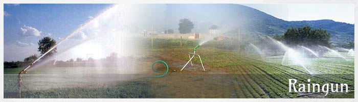 RainGuns, Landscapping Irrigation Systems, rainguns, duplex rainguns, irrigation rainguns, Sprinkler Irrigation, Dust Control Rain Gun Sprinkler, Portable Rain Gun Sprinkler manufacturer, Agriculture Rain Gun Sprinkler Systems, Rain Guns.Designed & Developed by Rudra Softwares www.rudrasoftwares.net